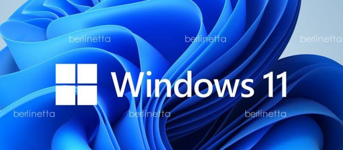 windows11 windows11