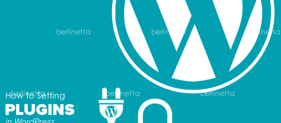 wp_setting_800x550 wp_setting_800x550